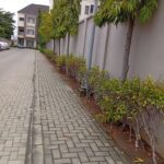 WhatsApp Image 2026-03-14 at 13.11.52 (4)