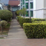Photo0149